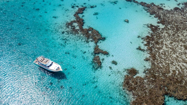 Snorkeling to Giftun – Mahmeya