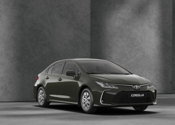 From Aswan to Hurghada in a Limo - Max 2 pax